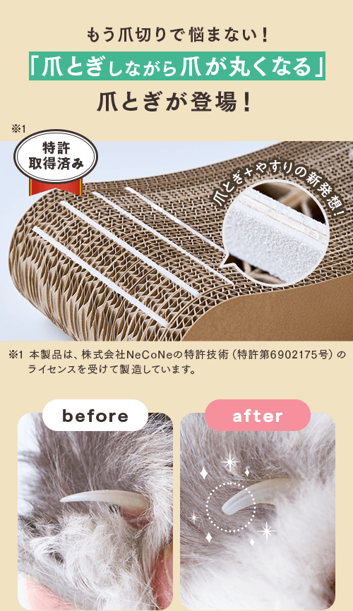 爪とぎしながら爪が丸くなる爪とぎが登場！