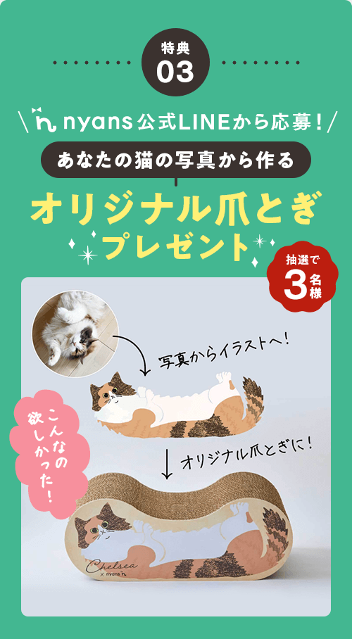 特典03　あなたの猫の写真から作るオリジナル爪とぎプレゼント