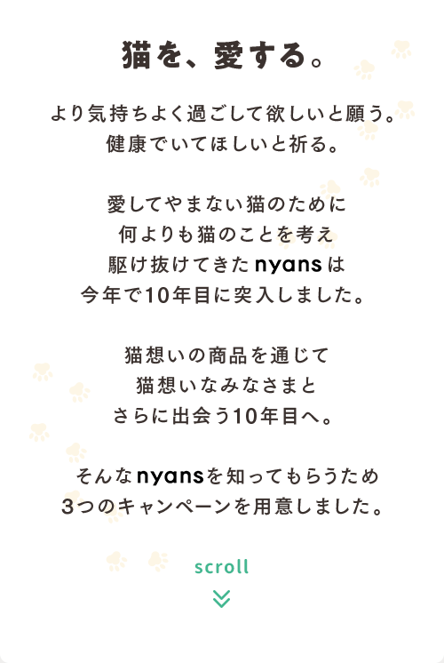 猫を、愛する。