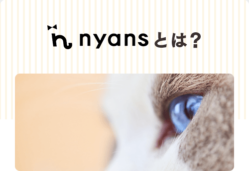 nyansとは？