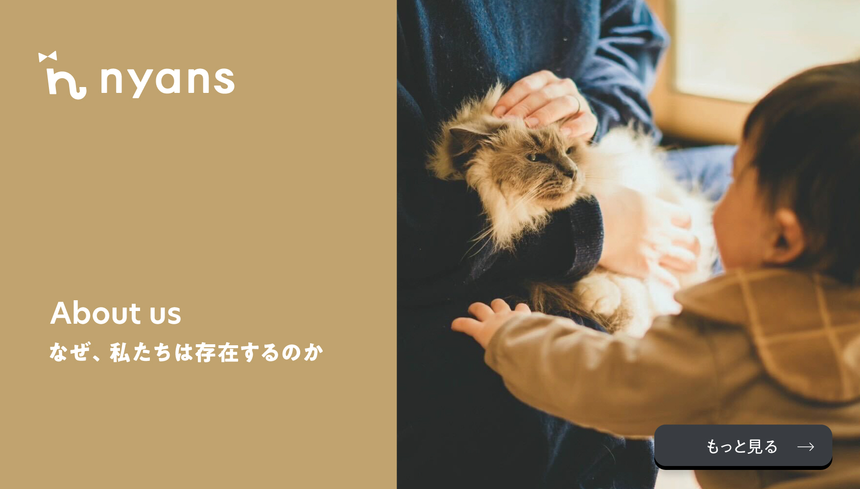 nyans（ニャンズ）公式オンラインストア｜猫のための通販サイト