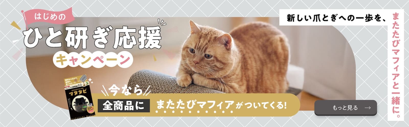 つめまるバナー