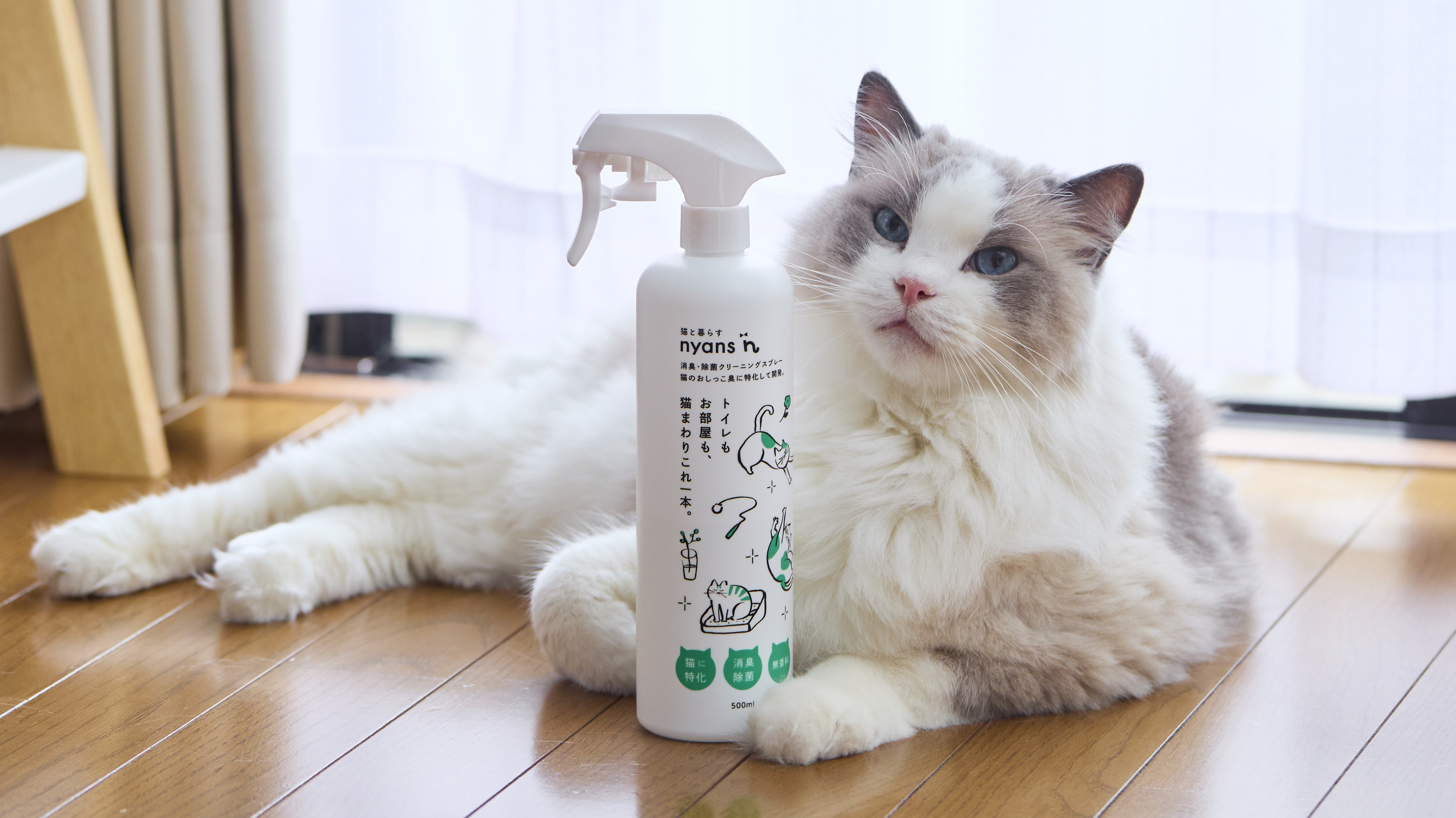 nyansの消臭除菌クリーニングスプレーと猫