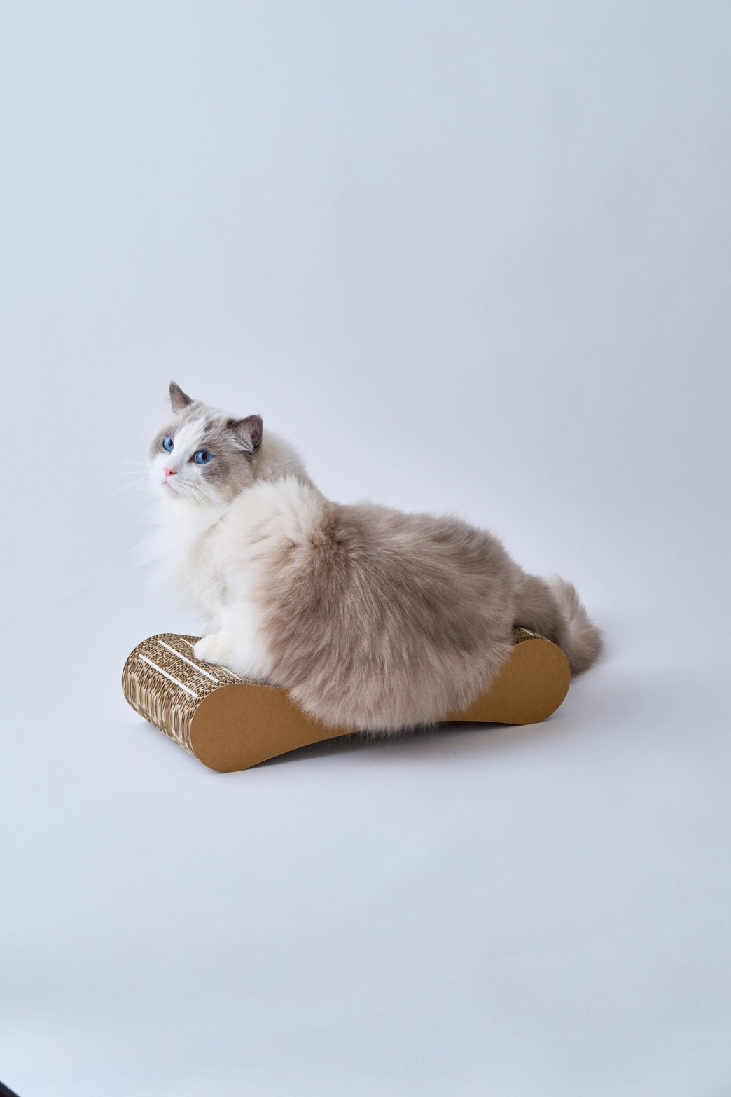 nyansの爪やすり付き爪とぎ つめまる