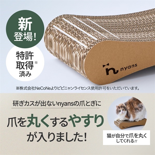 つめまるで爪が丸くなった猫の爪先