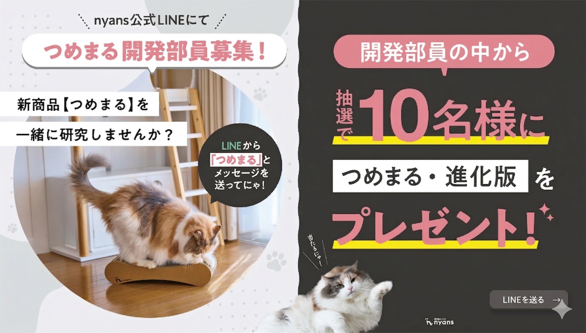 つめまる開発部員募集 LINE登録はこちら