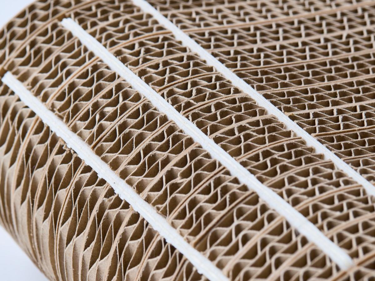 つめまる製品写真