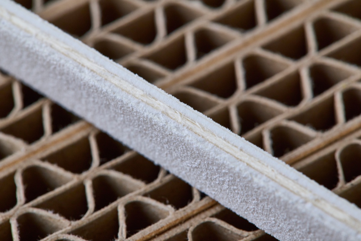 つめまるの研磨メカニズム