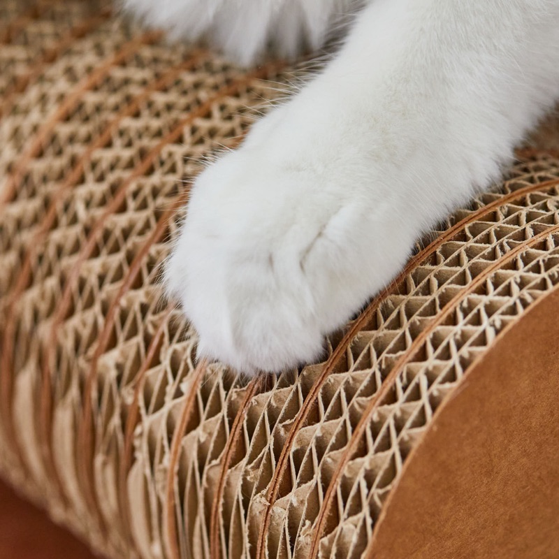 猫の手がバージンパルプの爪とぎ表面に触れている写真