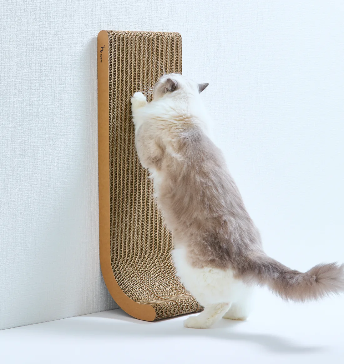 壁に立てたnyansの爪とぎ【縦型】で背伸びして研ぐ猫