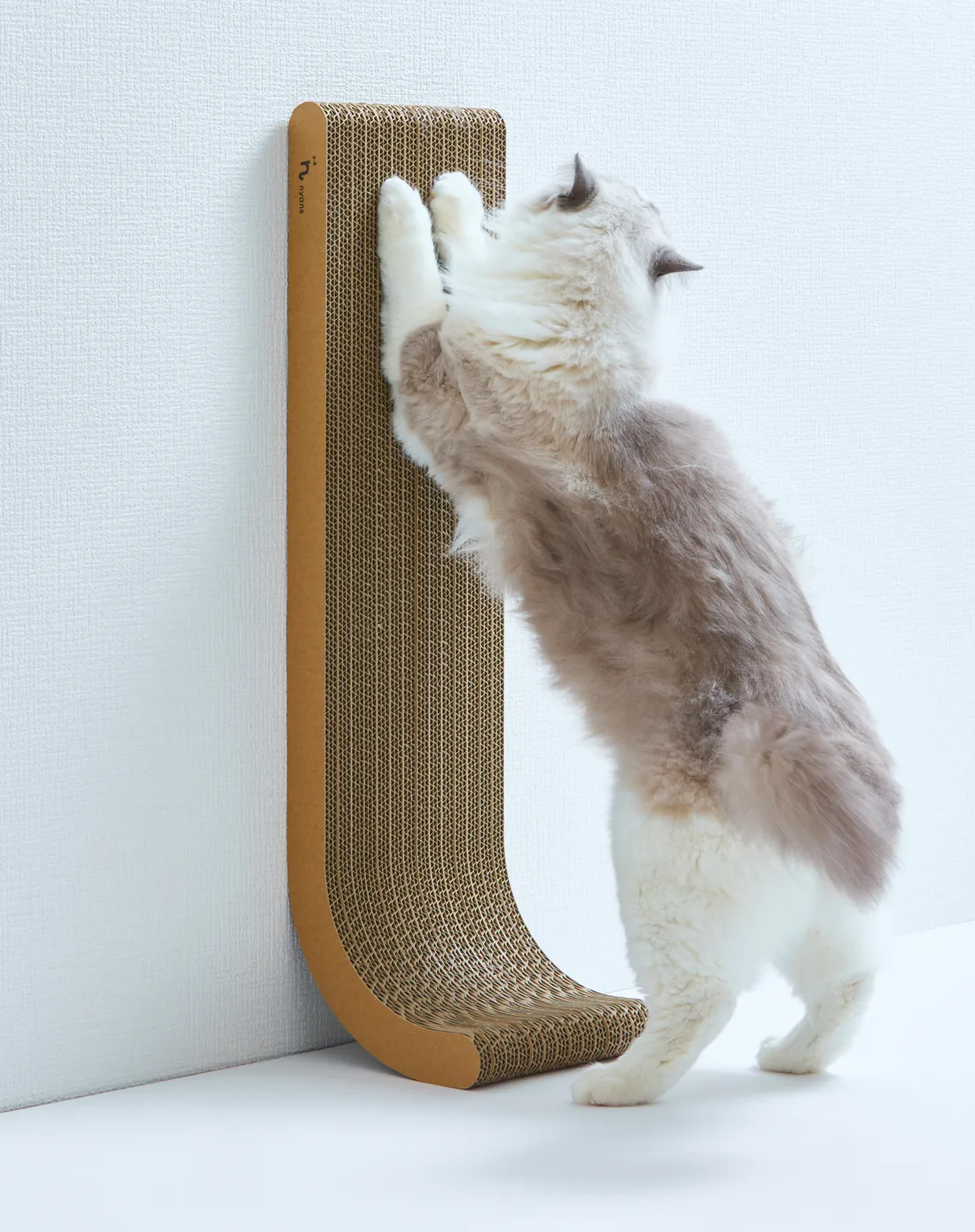 壁に立てたnyansの爪とぎ【縦型】で気持ちよく研ぐ猫のいる暮らし