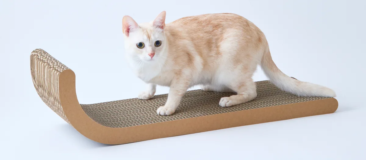 壁に立てたnyansの爪とぎ【縦型】のそばでくつろぐ猫