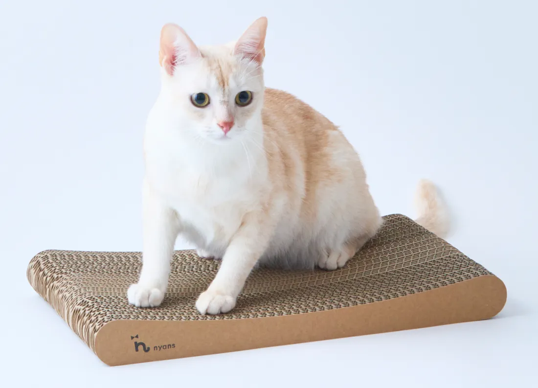 研ぎカスが出ないnyansの爪とぎ【スタンダード】の上にすわる猫