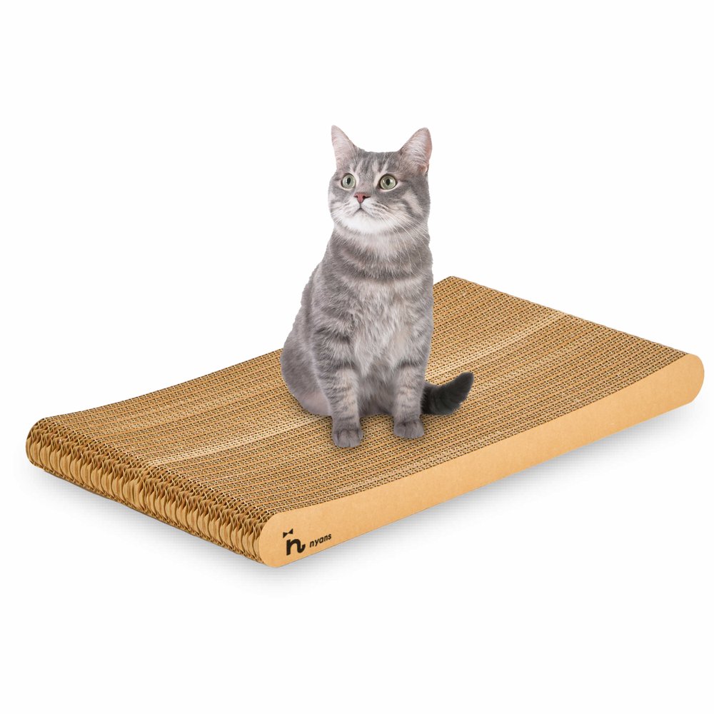 nyansの爪とぎに座る猫