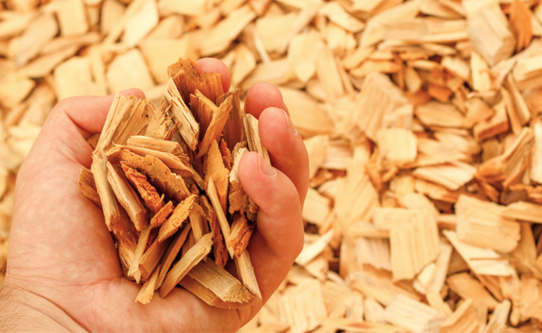 素材の写真（ダミー）