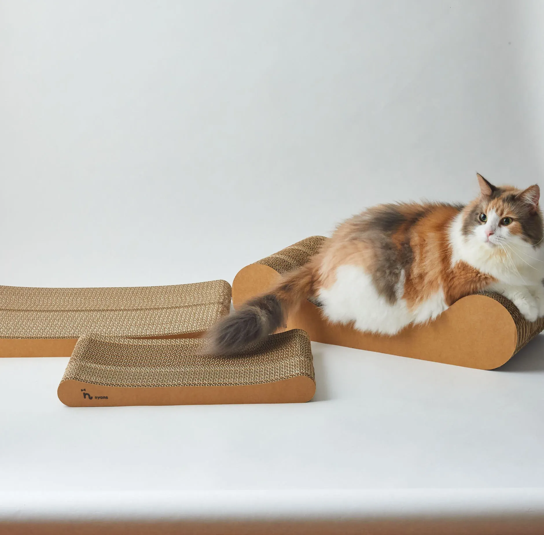 nyansの爪とぎでくつろぐチェルシー社長