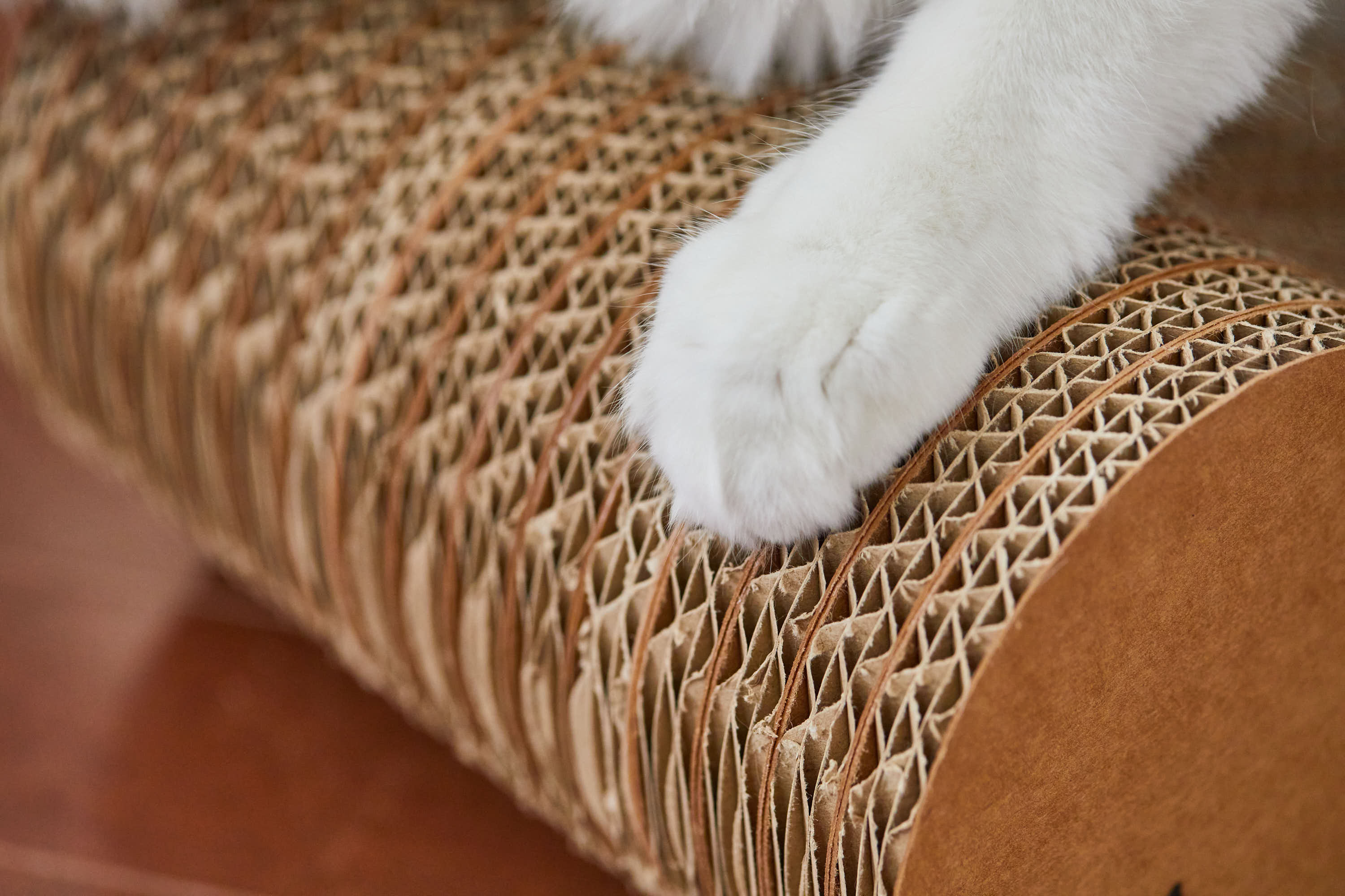 爪とぎ断面のバージンパルプ構造アップ