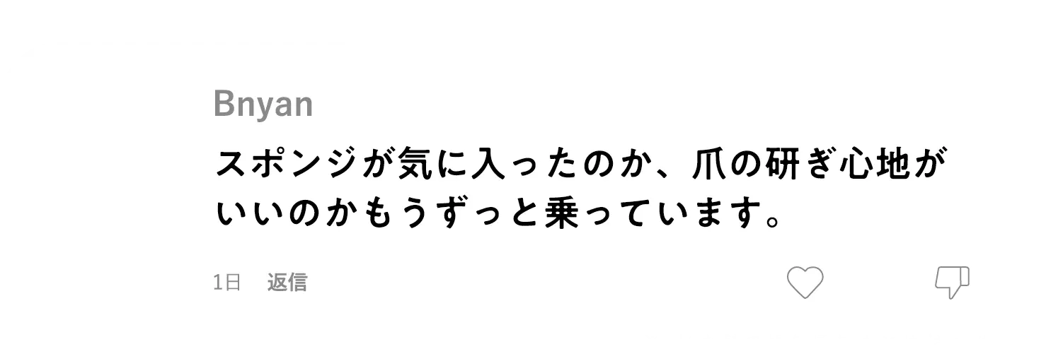 スポンジが気に入ったのかもうずっと乗っています。